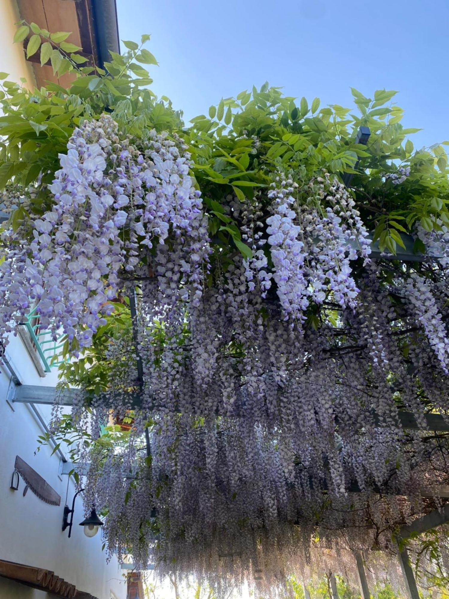 La Locanda Del Tevere Fiano Romano Ngoại thất bức ảnh