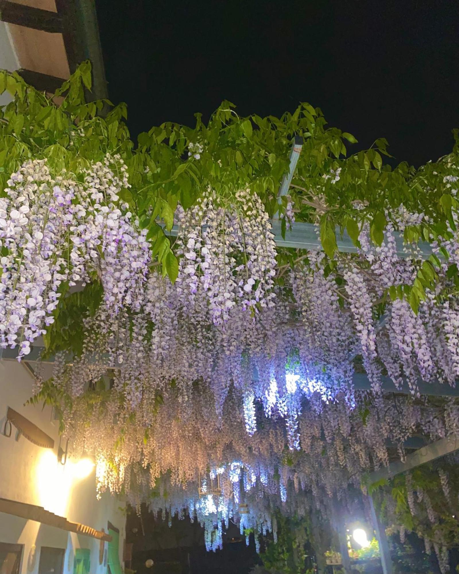 La Locanda Del Tevere Fiano Romano Ngoại thất bức ảnh