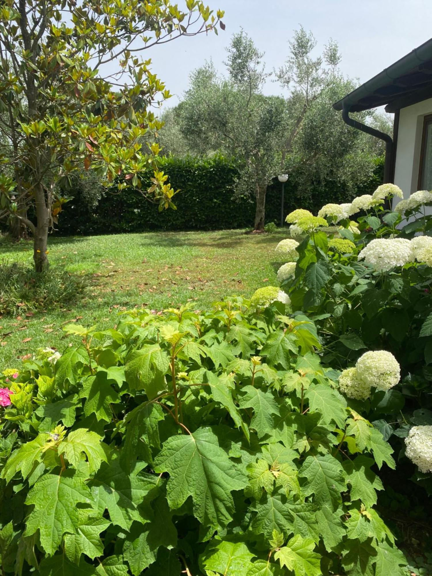 La Locanda Del Tevere Fiano Romano Ngoại thất bức ảnh